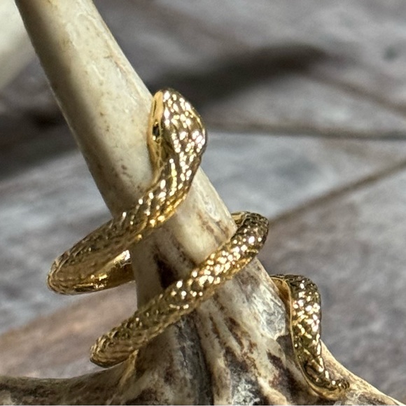 Snake ring - Picture 6 of 6